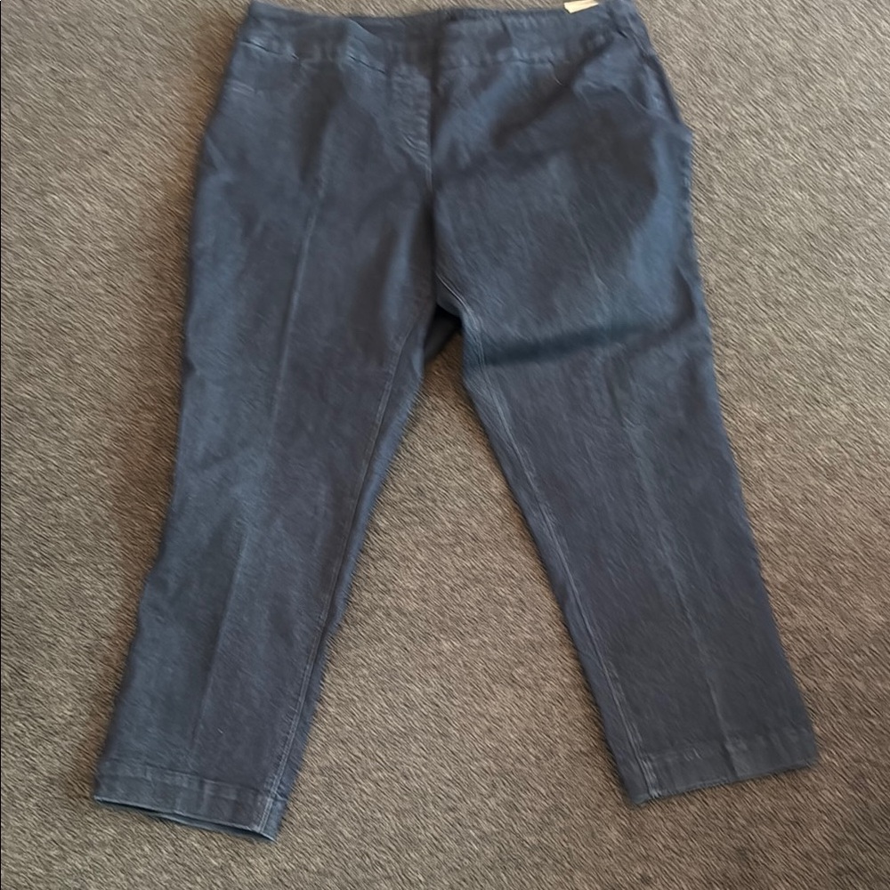 Slim-Station by Multiples Classic Blue Women's Plus Size Jeans- Plus Size 18W